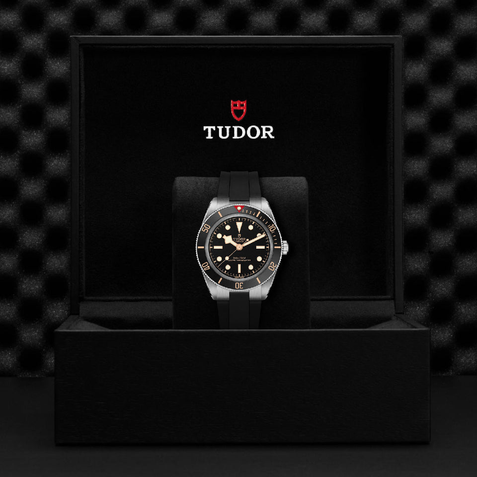 TUDOR Black Bay 58 Automatic 39mm Watch at David M Robinson