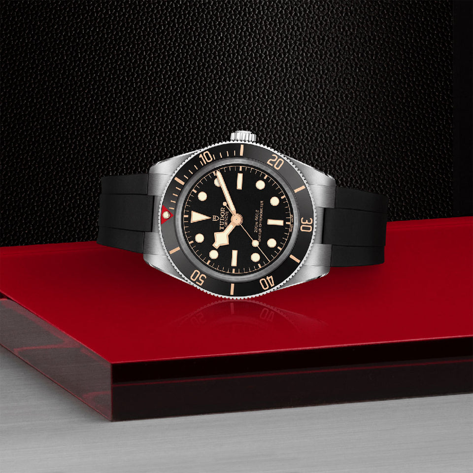 TUDOR Black Bay 58 Automatic 39mm Watch at David M Robinson