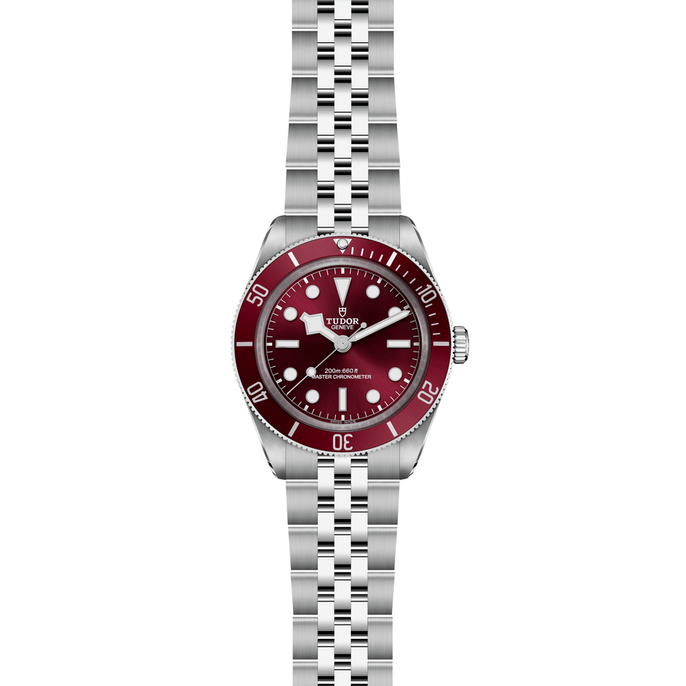 TUDOR Black Bay 58 Automatic 39mm Watch at David M Robinson