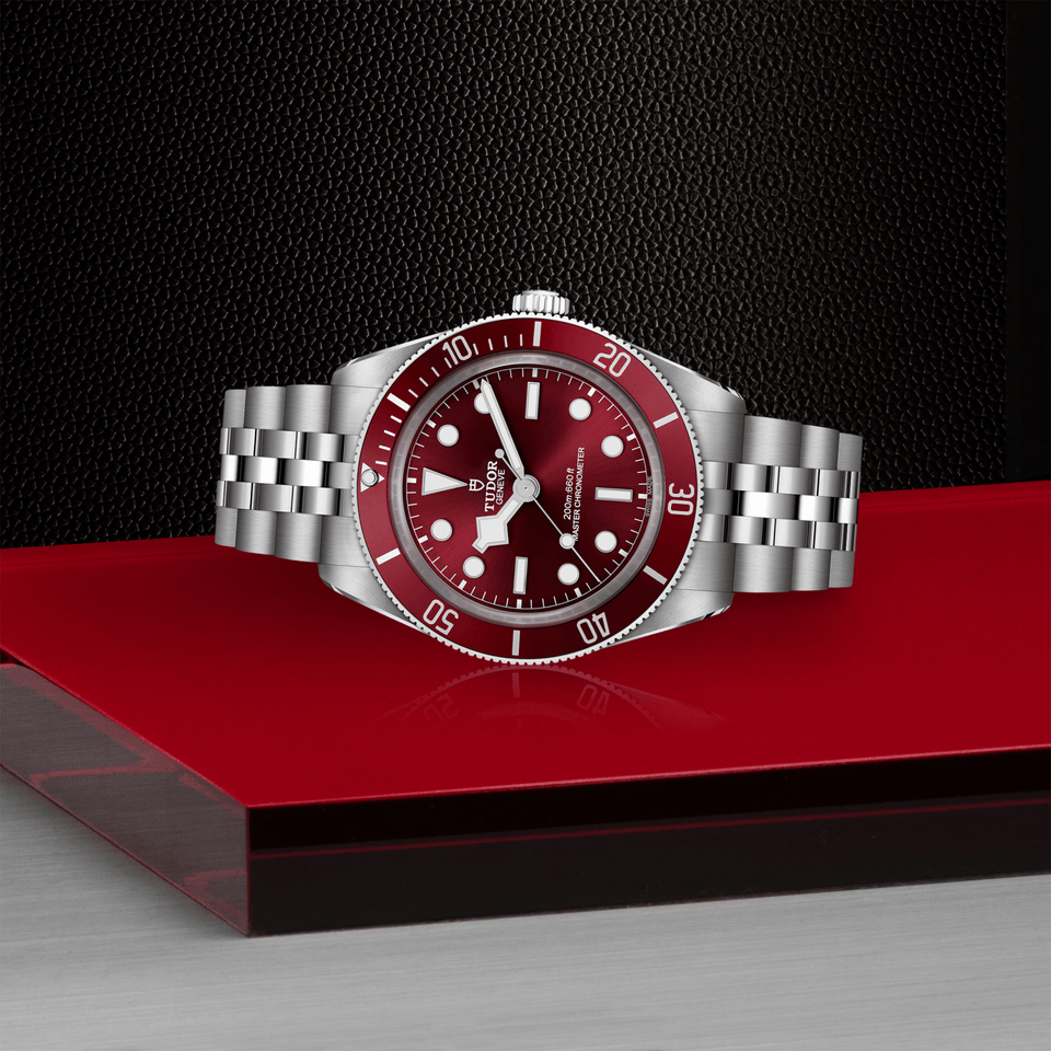 TUDOR Black Bay 58 Automatic 39mm Watch at David M Robinson