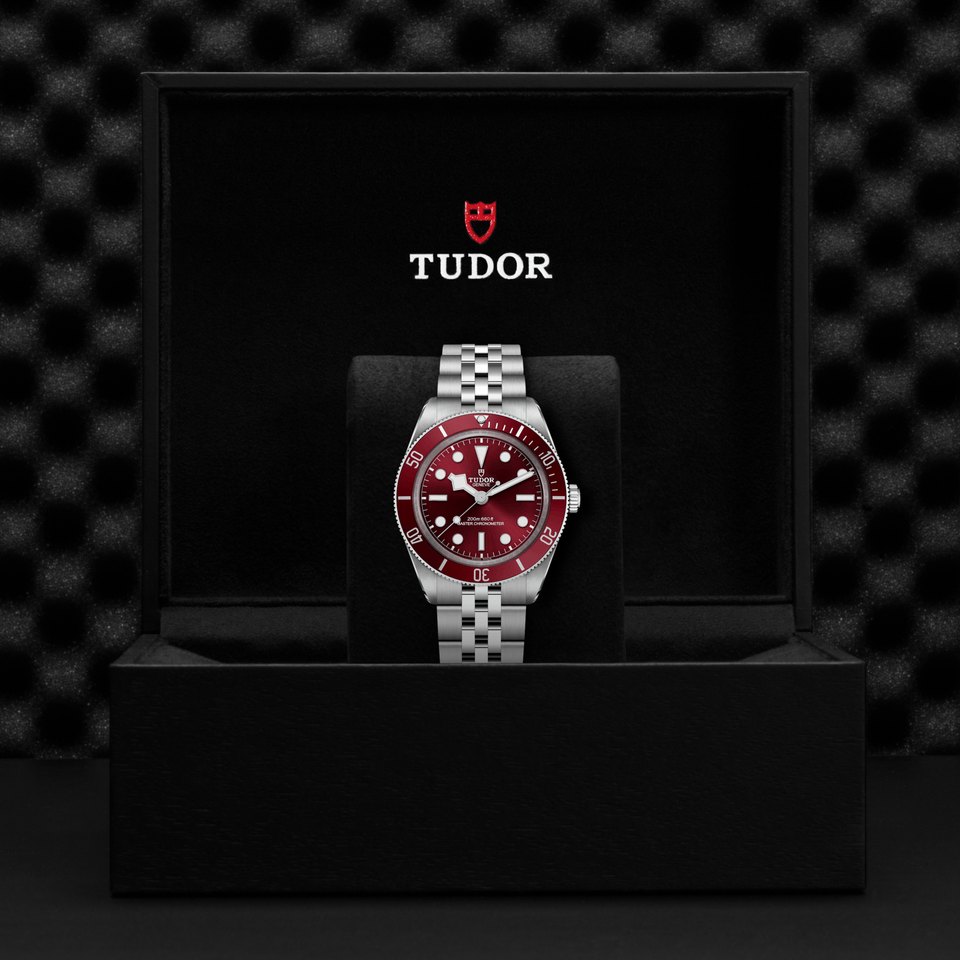 TUDOR Black Bay 58 Automatic 39mm Watch at David M Robinson