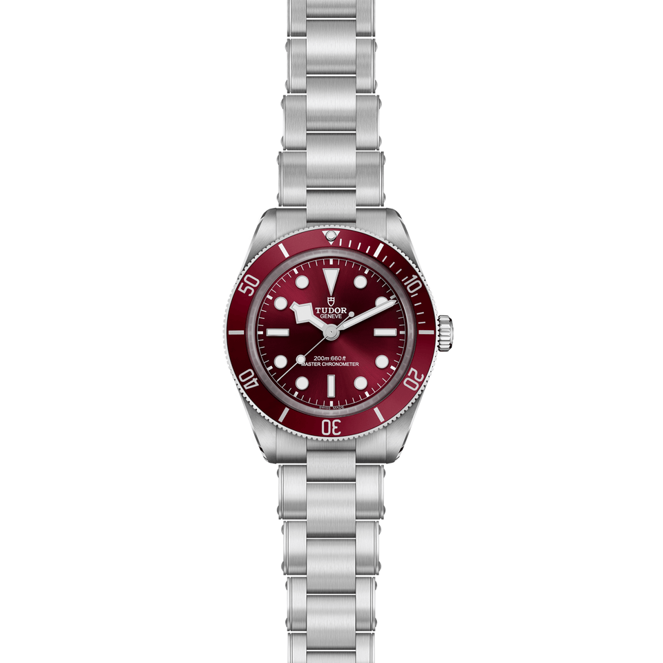TUDOR Black Bay 58 Automatic 39mm Watch at David M Robinson