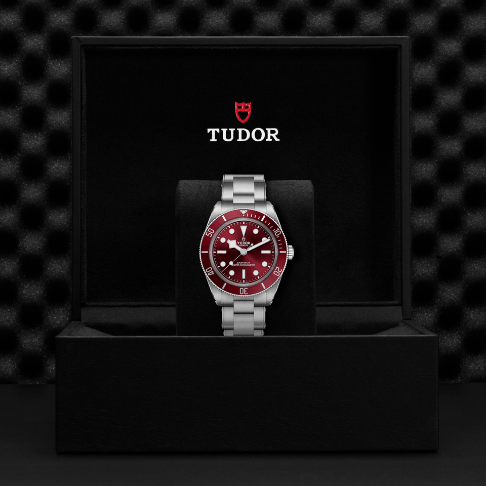 TUDOR Black Bay 58 Automatic 39mm Watch at David M Robinson