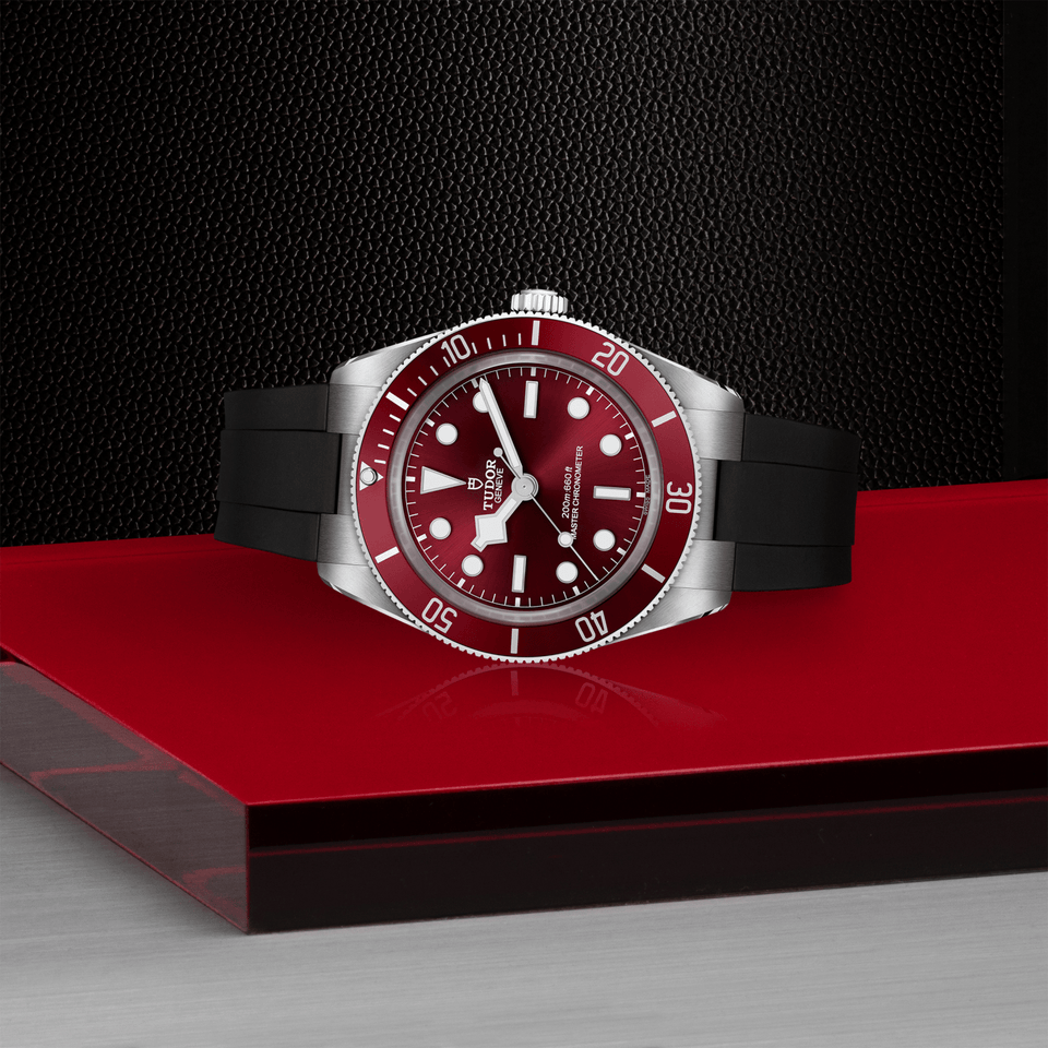 TUDOR Black Bay 58 Automatic 39mm Watch at David M Robinson