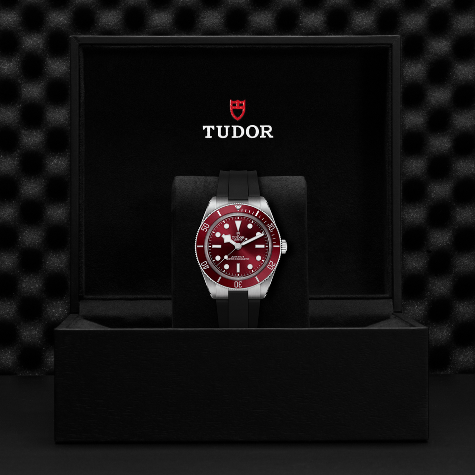 TUDOR Black Bay 58 Automatic 39mm Watch at David M Robinson