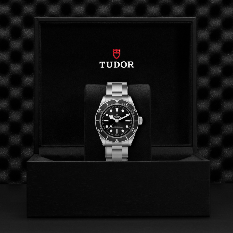 TUDOR Black Bay Automatic 41mm Watch at David M Robinson