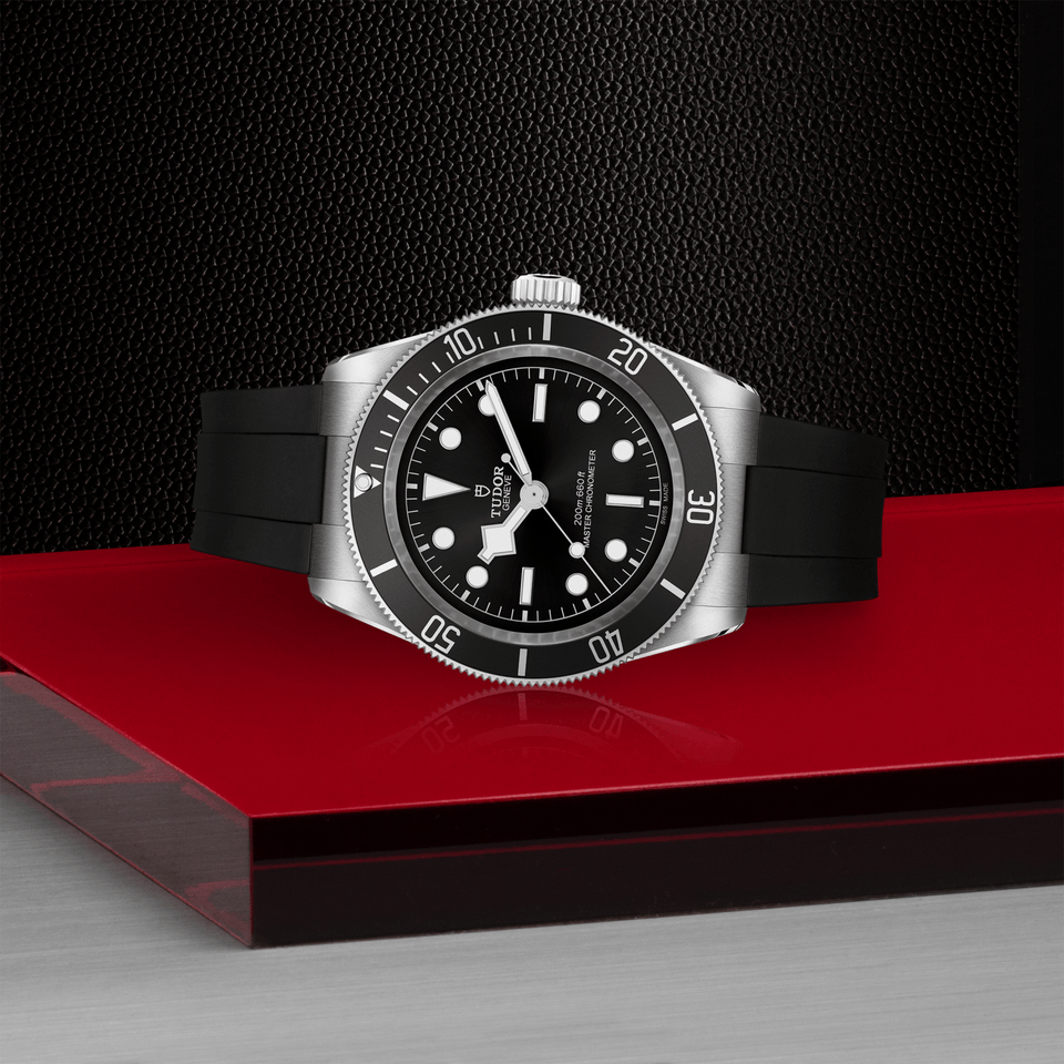 TUDOR Black Bay Automatic 41mm Watch at David M Robinson