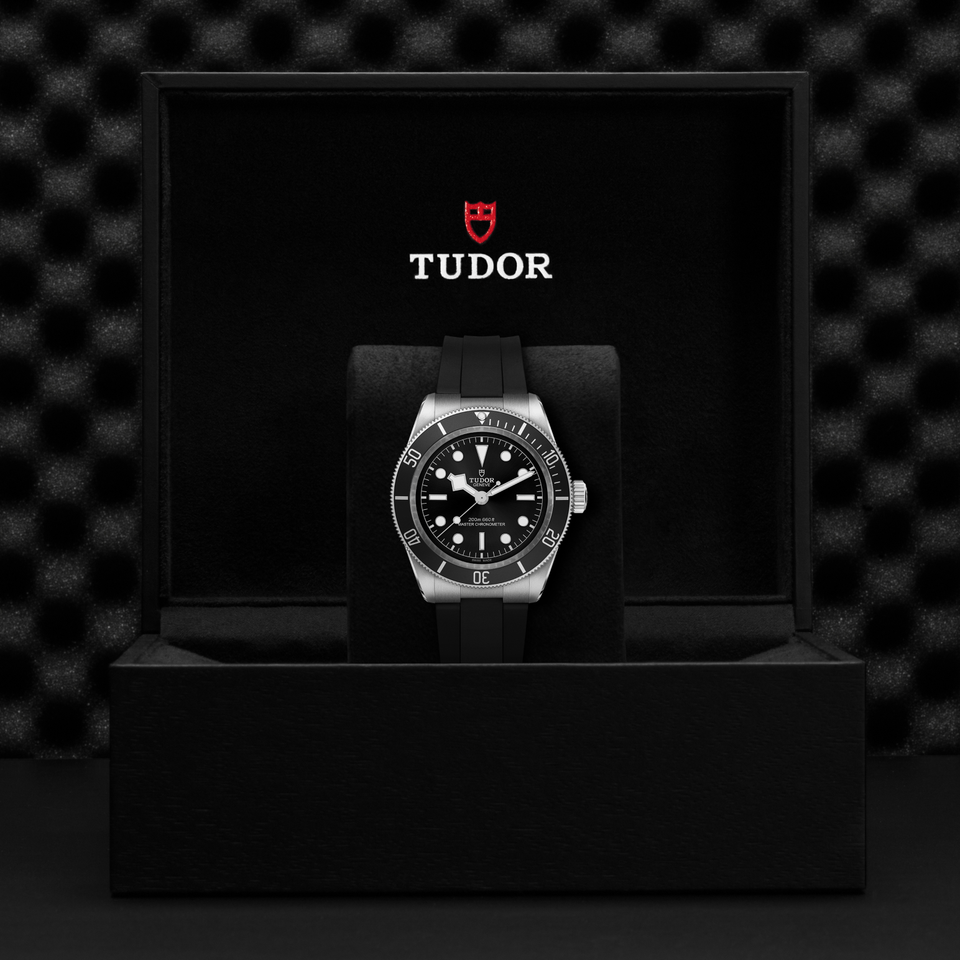 TUDOR Black Bay Automatic 41mm Watch at David M Robinson