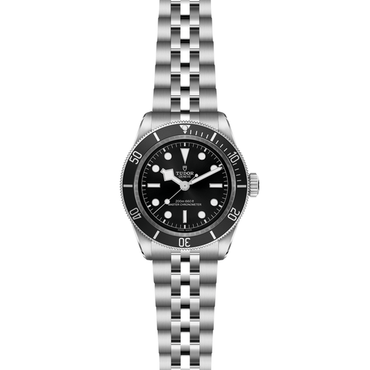 TUDOR Black Bay Automatic 41mm Watch at David M Robinson
