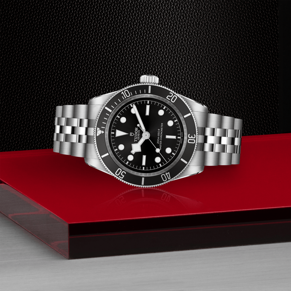 TUDOR Black Bay Automatic 41mm Watch at David M Robinson