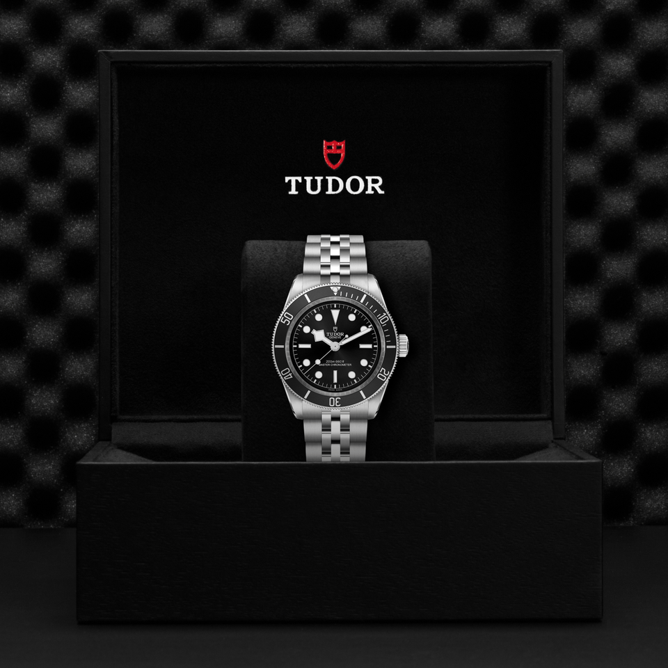 TUDOR Black Bay Automatic 41mm Watch at David M Robinson