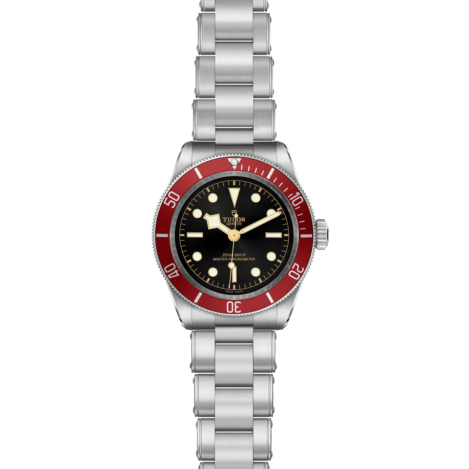 TUDOR Black Bay 41 Automatic Watch at David M Robinson
