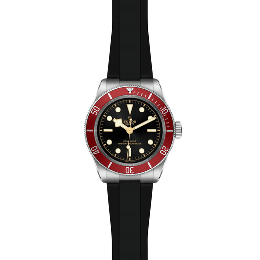 TUDOR Black Bay 41 Automatic Watch at David M Robinson