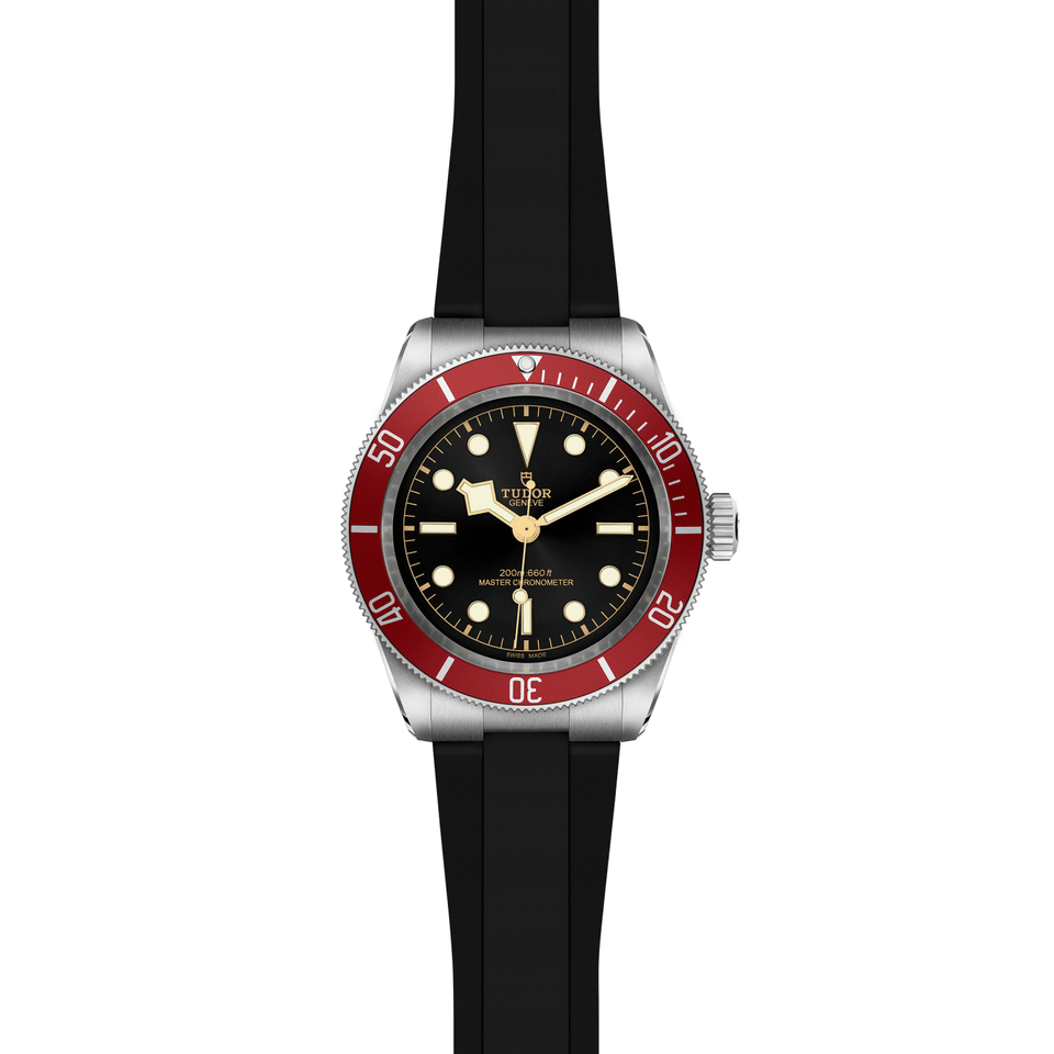 TUDOR Black Bay 41 Automatic Watch at David M Robinson