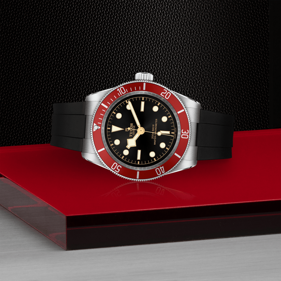 TUDOR Black Bay 41 Automatic Watch at David M Robinson