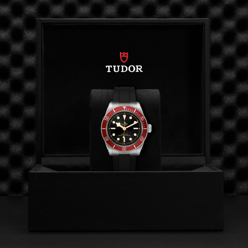 TUDOR Black Bay 41 Automatic Watch at David M Robinson