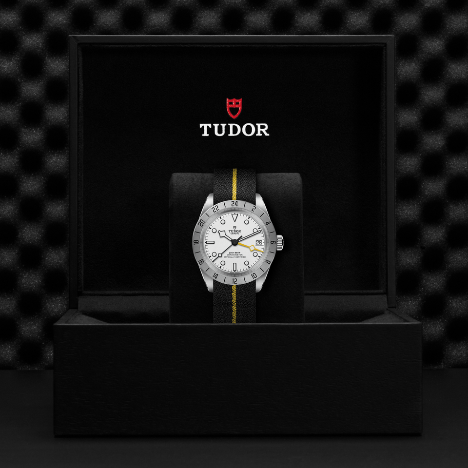 TUDOR Black Bay Pro Automatic 39mm Watch at David M Robinson