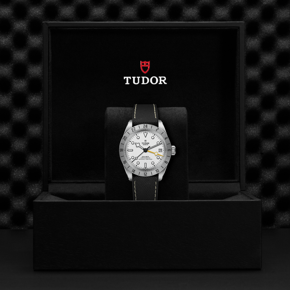 TUDOR Black Bay Pro Automatic 39mm Watch at David M Robinson