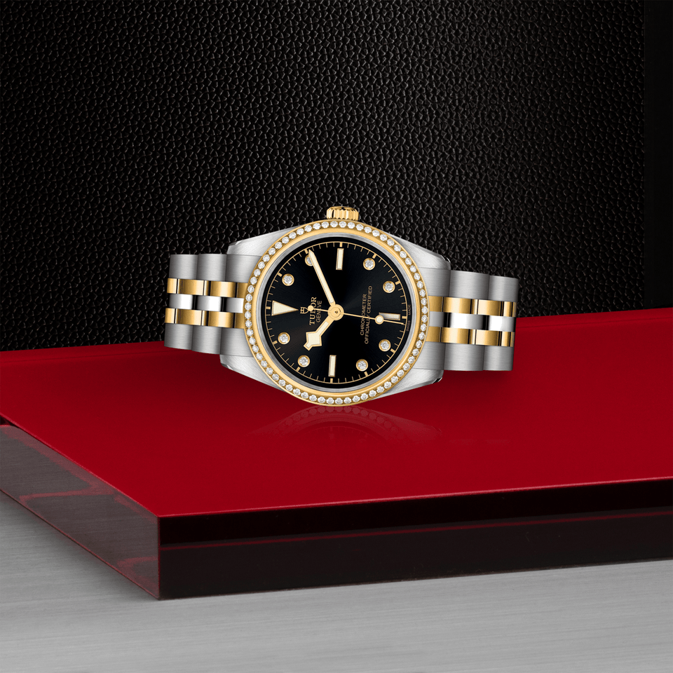 TUDOR Black Bay ONE 31 S&G Automatic Watch at David M Robinson