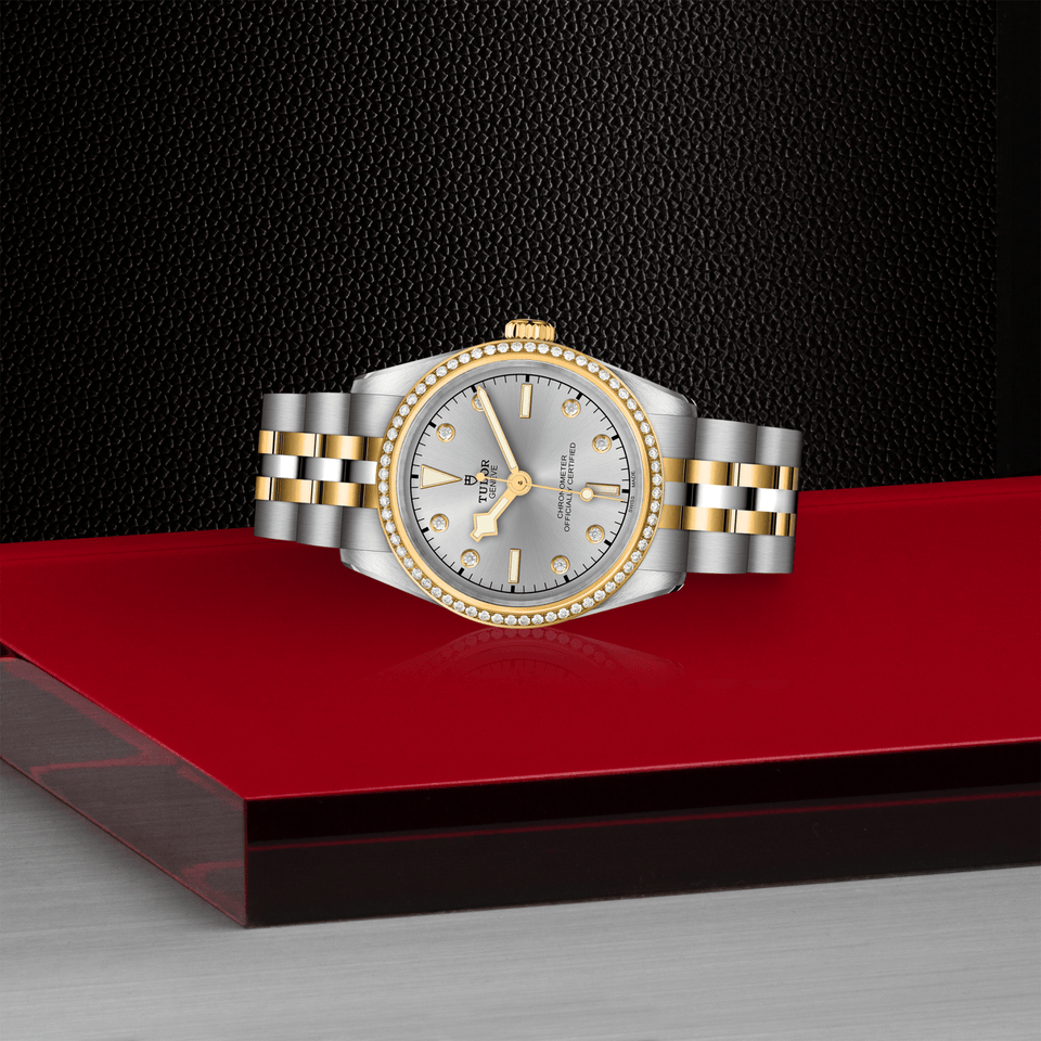 TUDOR Black Bay ONE 31 S&G Automatic Watch at David M Robinson
