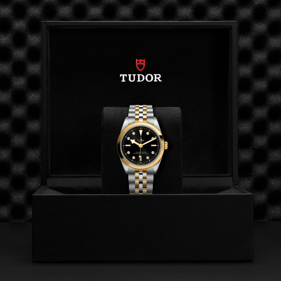 TUDOR Black Bay ONE 36 S&G Automatic Watch at David M Robinson