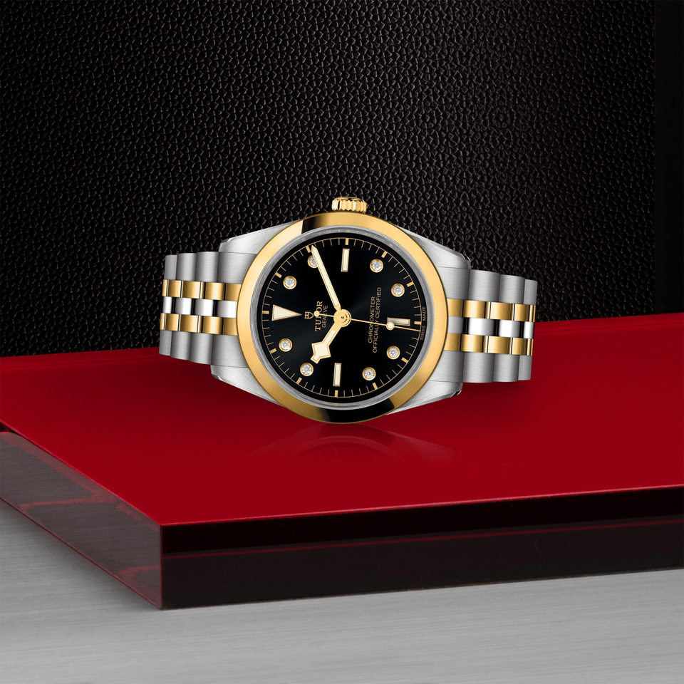 TUDOR Black Bay ONE 36 S&G Automatic Watch at David M Robinson