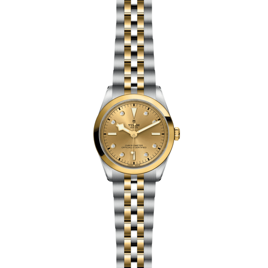 TUDOR Black Bay ONE 36 S&G Automatic Watch at David M Robinson