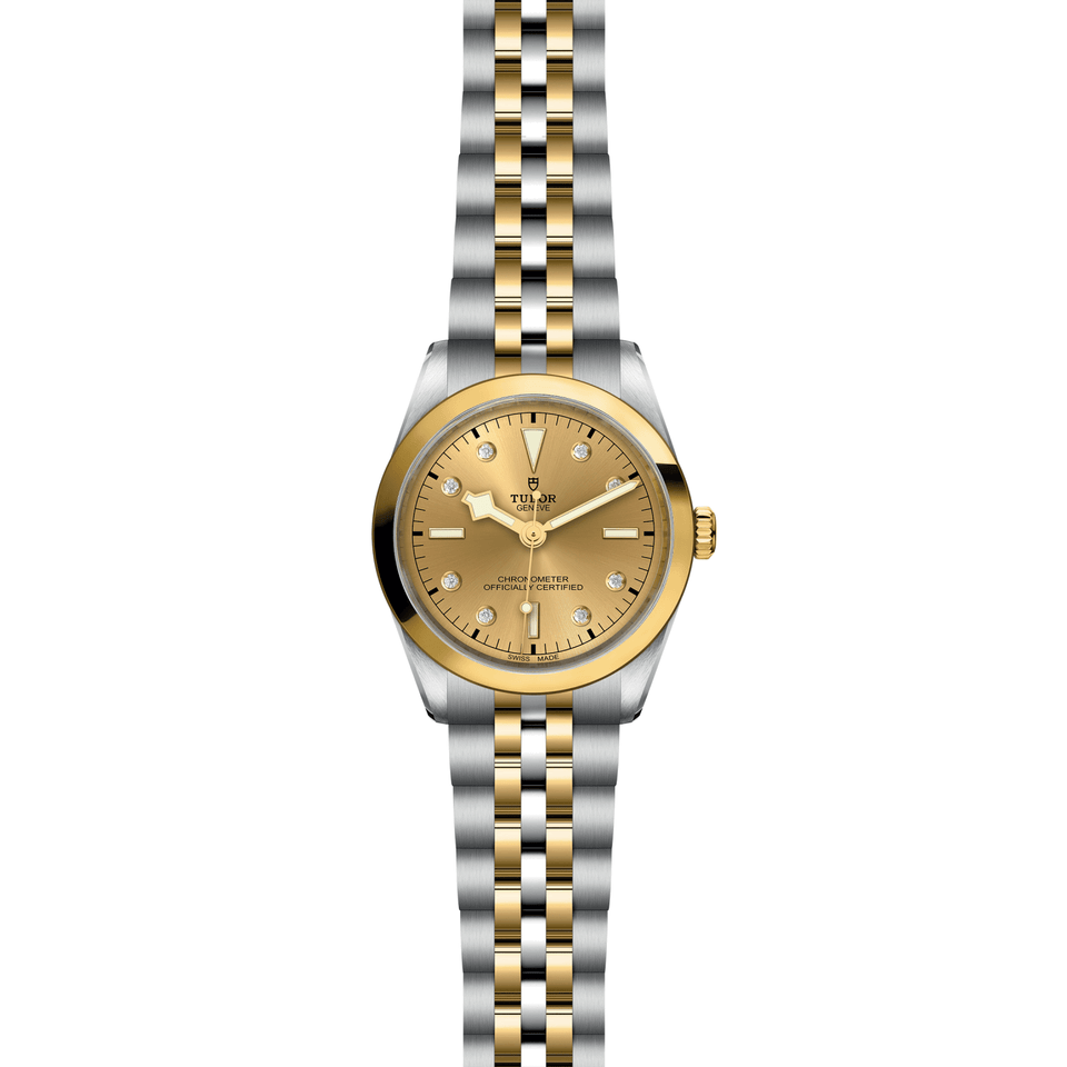 TUDOR Black Bay ONE 36 S&G Automatic Watch at David M Robinson