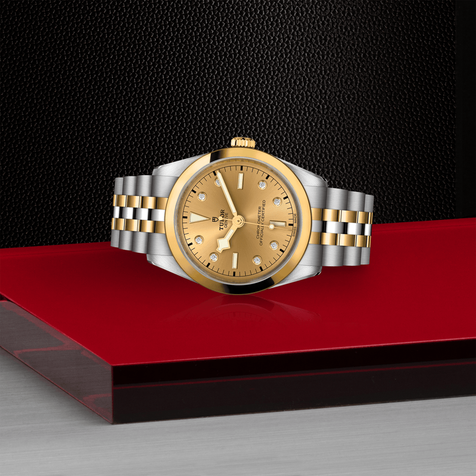 TUDOR Black Bay ONE 36 S&G Automatic Watch at David M Robinson