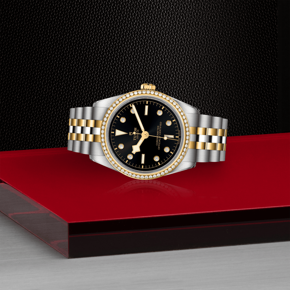 TUDOR Black Bay ONE 36 S&G Automatic Watch at David M Robinson