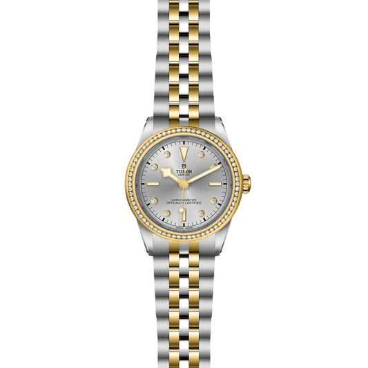 TUDOR Black Bay ONE 39 S&G Automatic Watch at David M Robinson