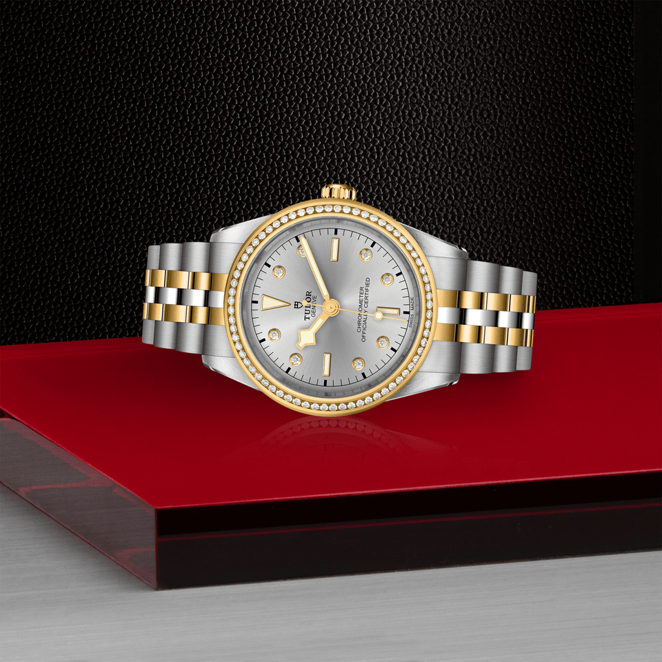 TUDOR Black Bay ONE 39 S&G Automatic Watch at David M Robinson