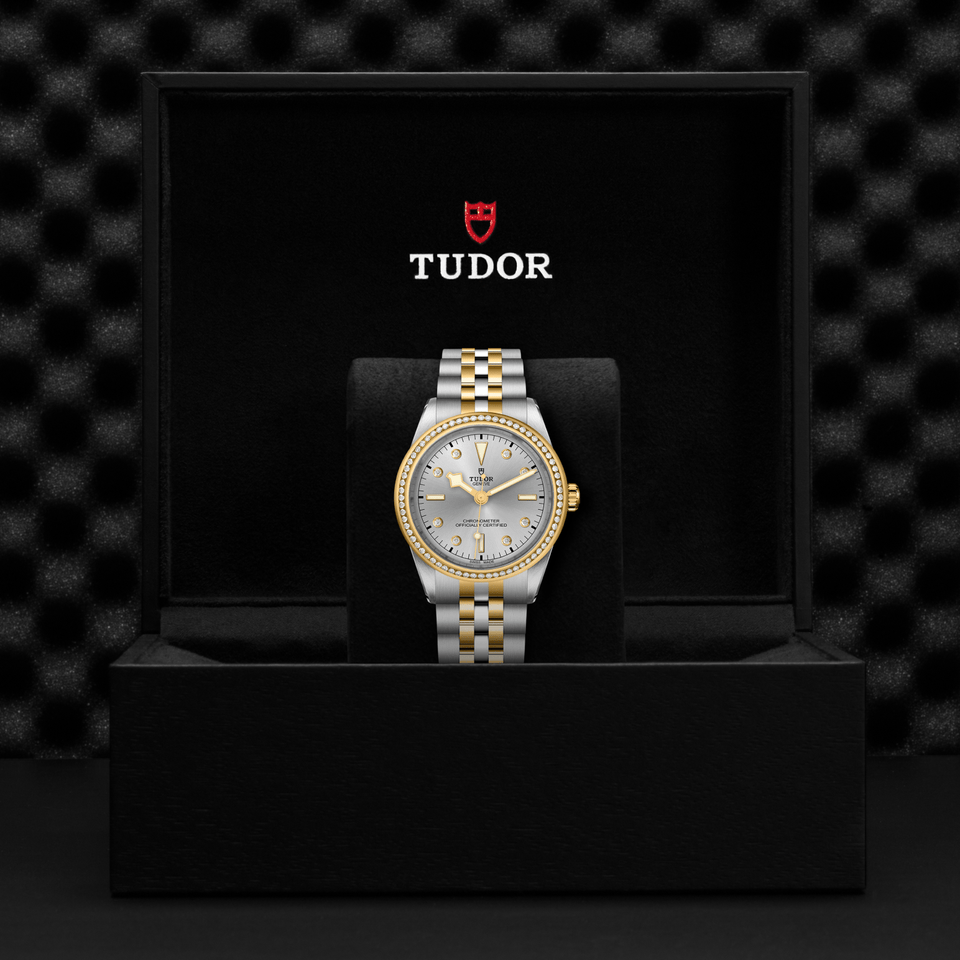 TUDOR Black Bay ONE 39 S&G Automatic Watch at David M Robinson
