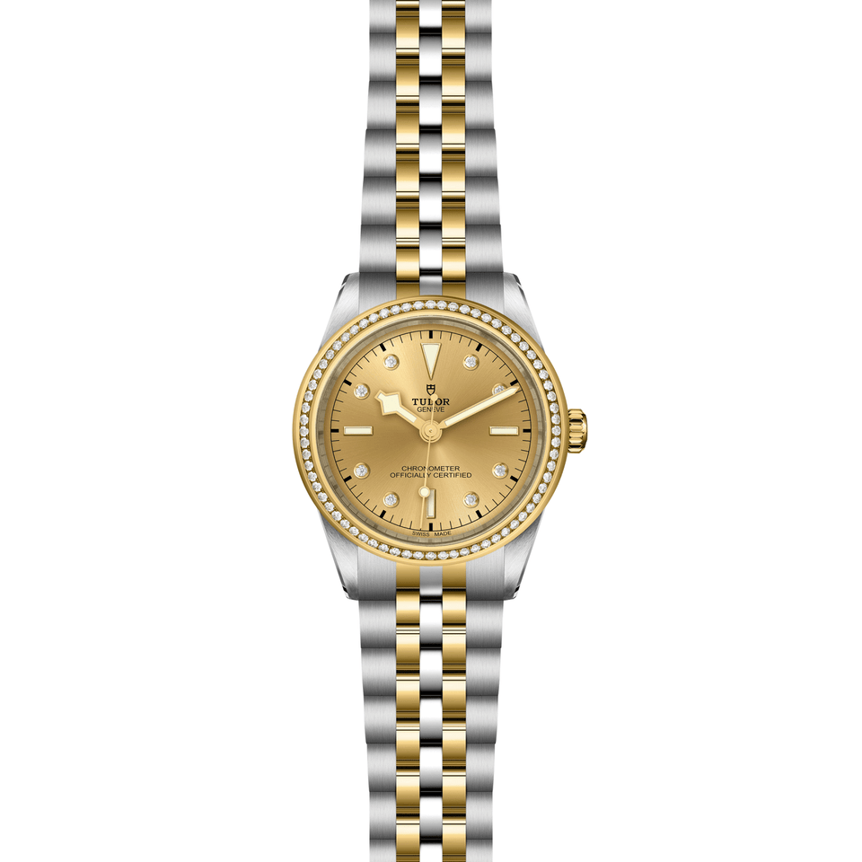 TUDOR Black Bay ONE 39 S&G Automatic Watch at David M Robinson