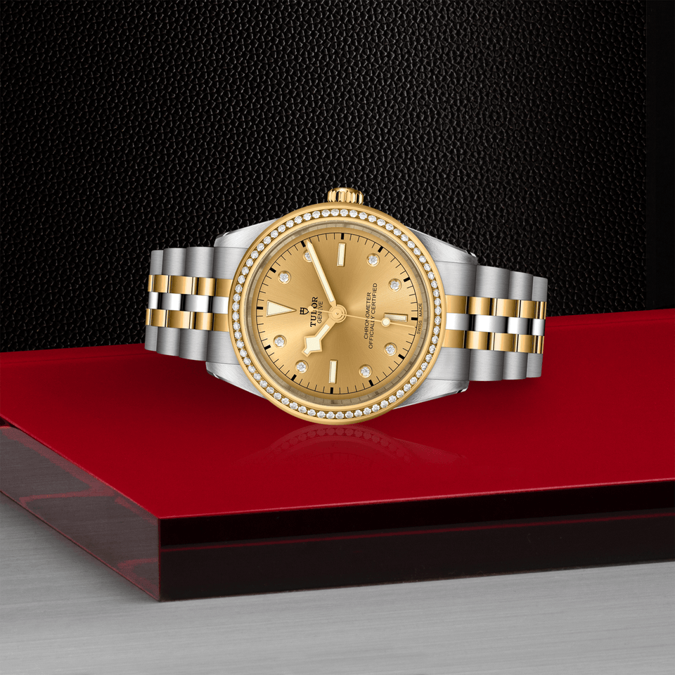 TUDOR Black Bay ONE 39 S&G Automatic Watch at David M Robinson