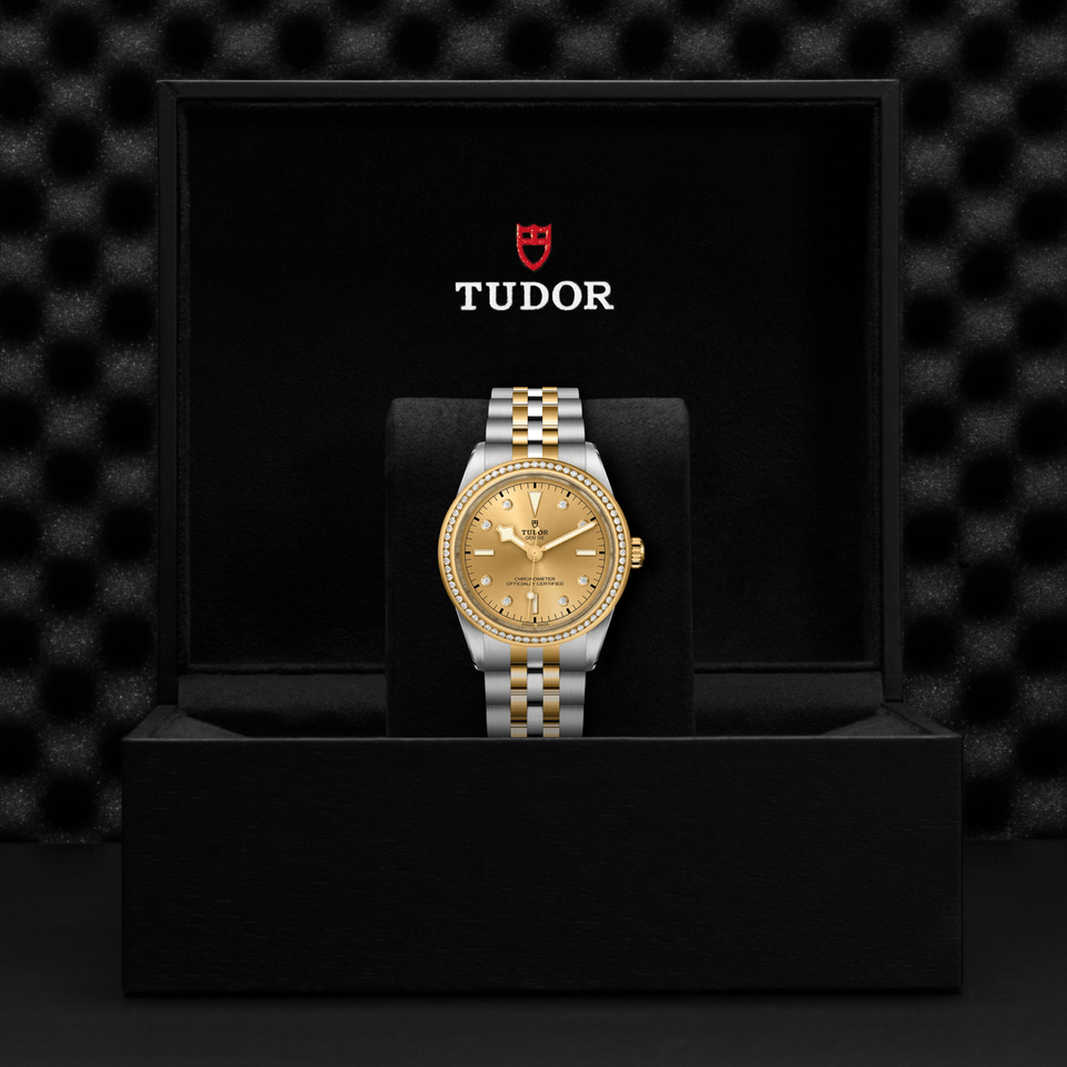 TUDOR Black Bay ONE 39 S&G Automatic Watch at David M Robinson