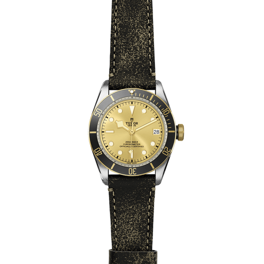 TUDOR Black Bay S&G Automatic 41mm Watch at David M Robinson
