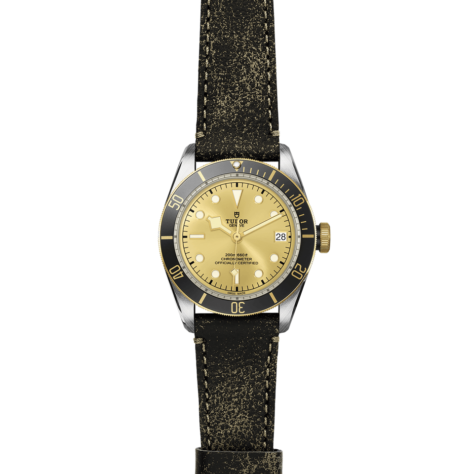 TUDOR Black Bay S&G Automatic 41mm Watch at David M Robinson