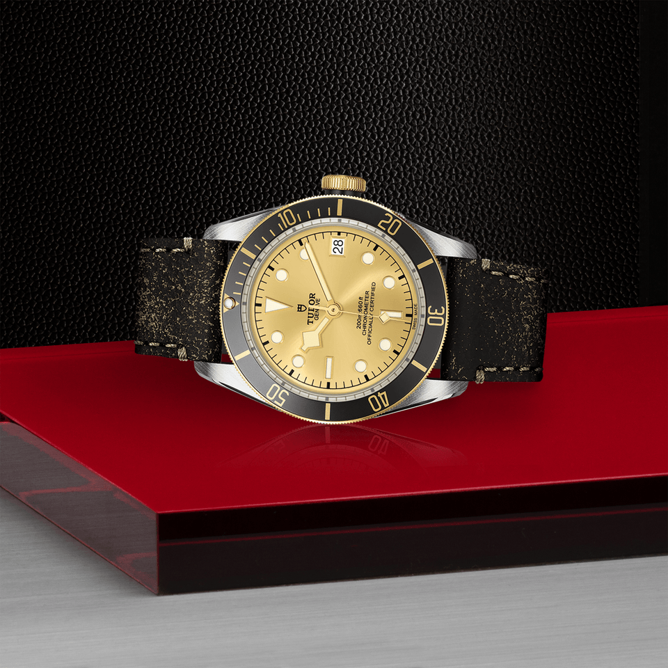 TUDOR Black Bay S&G Automatic 41mm Watch at David M Robinson