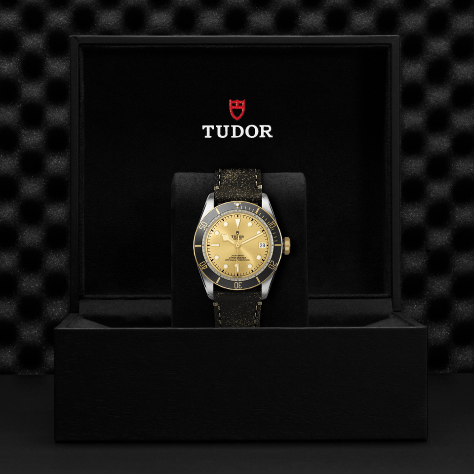TUDOR Black Bay S&G Automatic 41mm Watch at David M Robinson