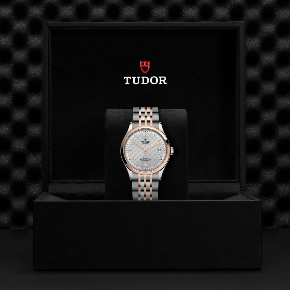 TUDOR 1926 Automatic 36mm Watch M91451-0001 at David M Robinson